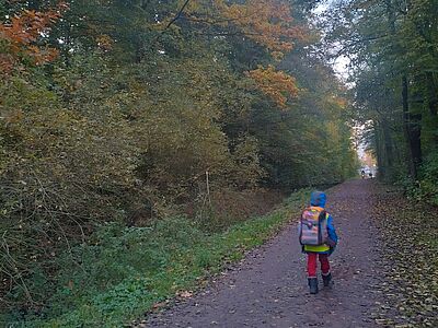 Ein Kind geht auf einem Waldweg