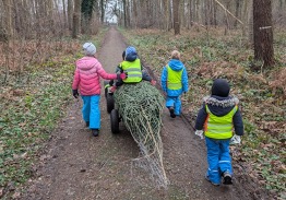 Kinder mit Weihnachtsbaum auf Fahrradanhänger