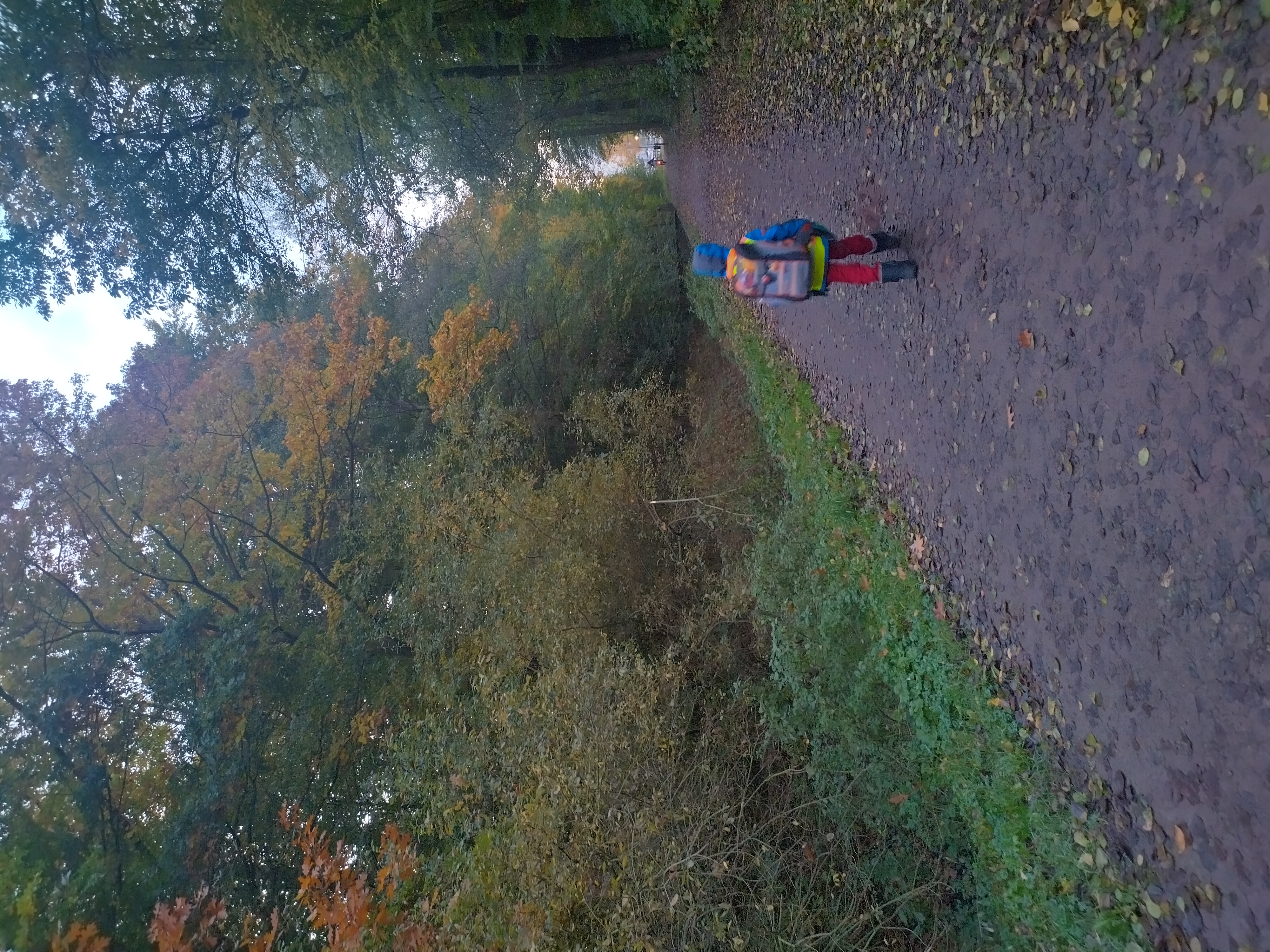 Ein Kind geht auf einem Waldweg
