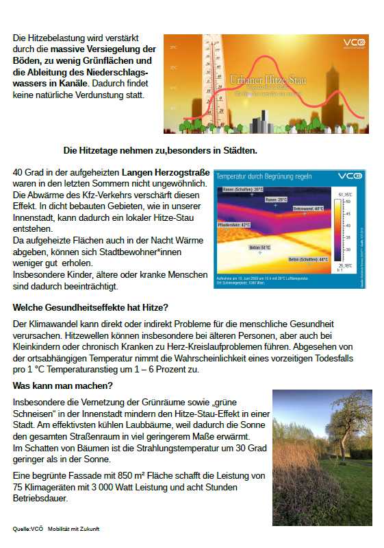 Wolfenbüttel News